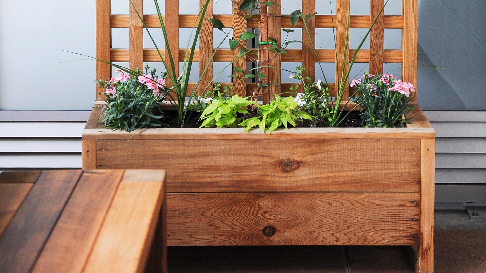 diy planter with trellis project made of cedar