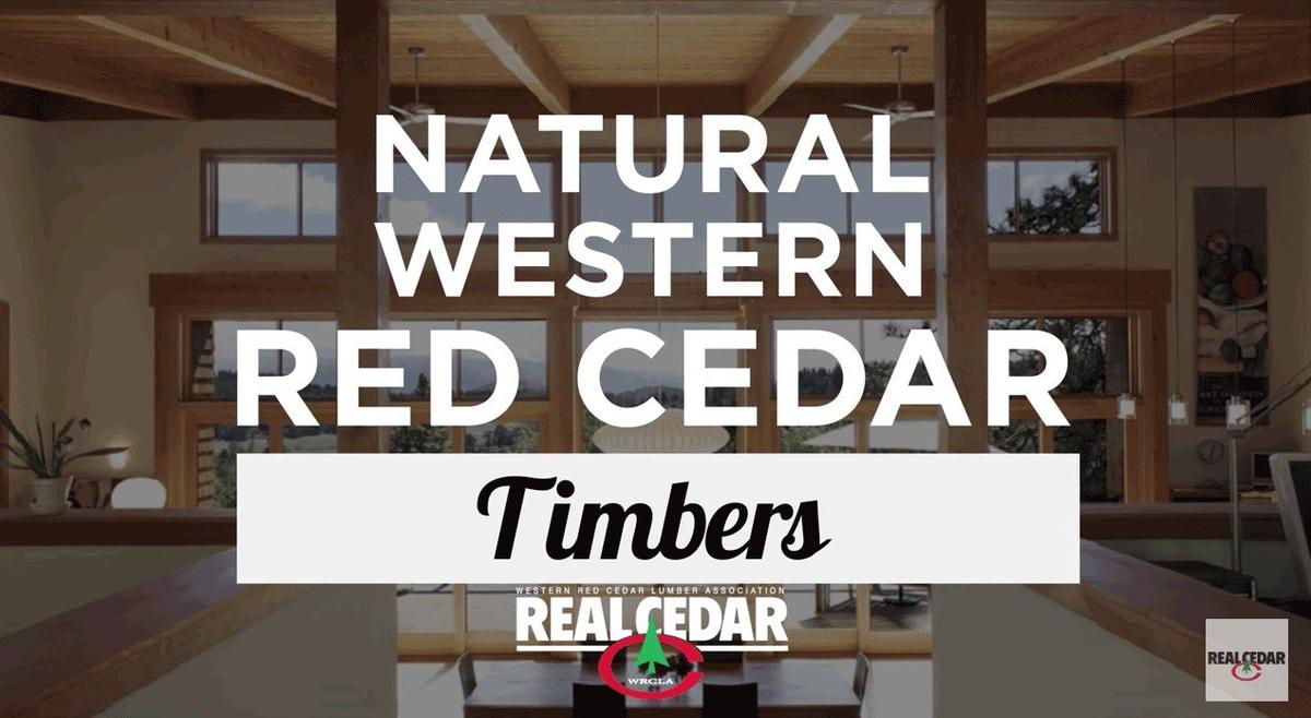 cedar timbers project plan video thumbnail