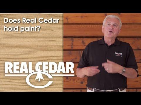 YouTube video thumbnail for video