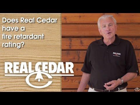 YouTube video thumbnail for video