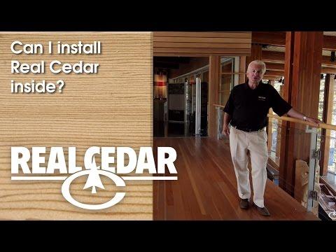 YouTube video thumbnail for video