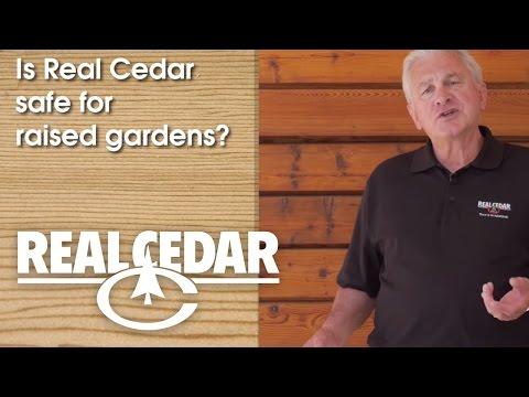 YouTube video thumbnail for video