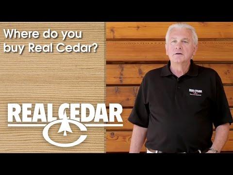 YouTube video thumbnail for video