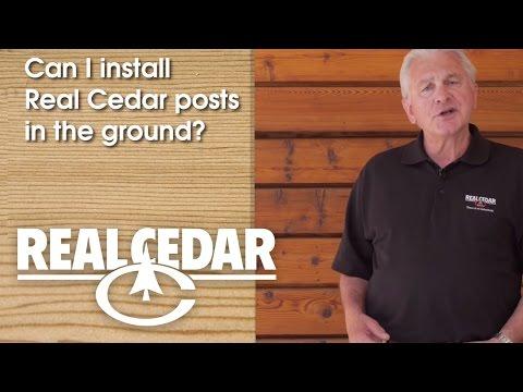 YouTube video thumbnail for video