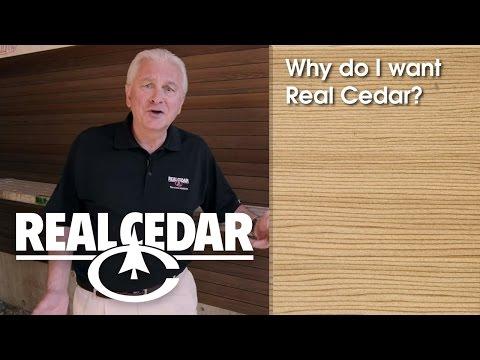 YouTube video thumbnail for video