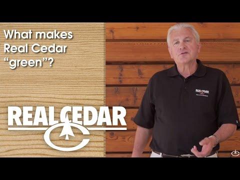 YouTube video thumbnail for video